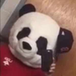 Meet your Posher, Griselda